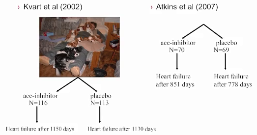 Niek Beijerink's ACE-Inhibitor Studies Comparison.