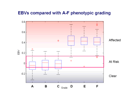 EBVs compared with A-F phenotypic grading -- Sarah Blott
