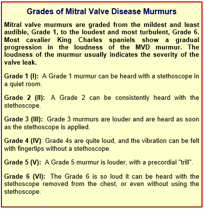 Grades of Mitral Valve Disease Murmurs